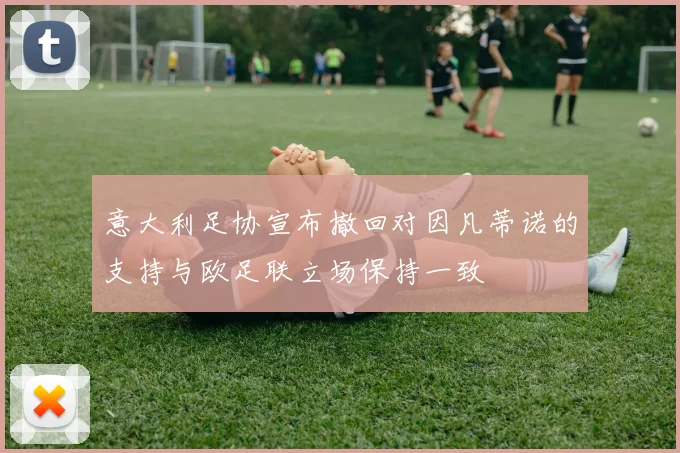 意大利足协宣布撤回对因凡蒂诺的支持与欧足联立场保持一致